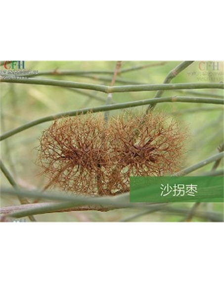 標(biāo)題：名貴樹(shù)種
瀏覽次數(shù)：1596
發(fā)表時(shí)間：2020-10-17